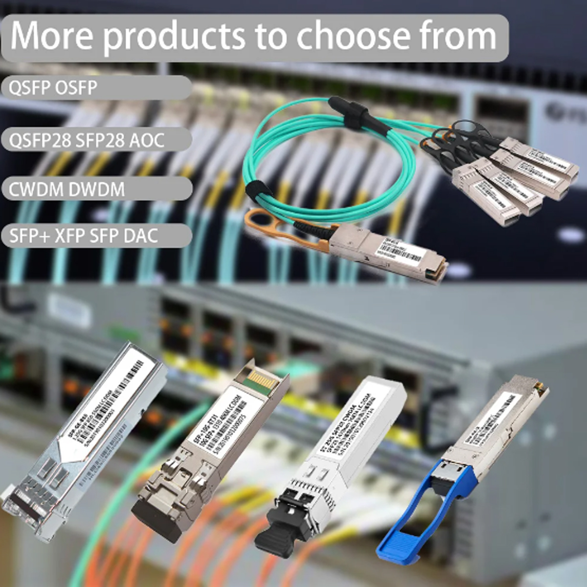 QSFP+40G 7.jpg